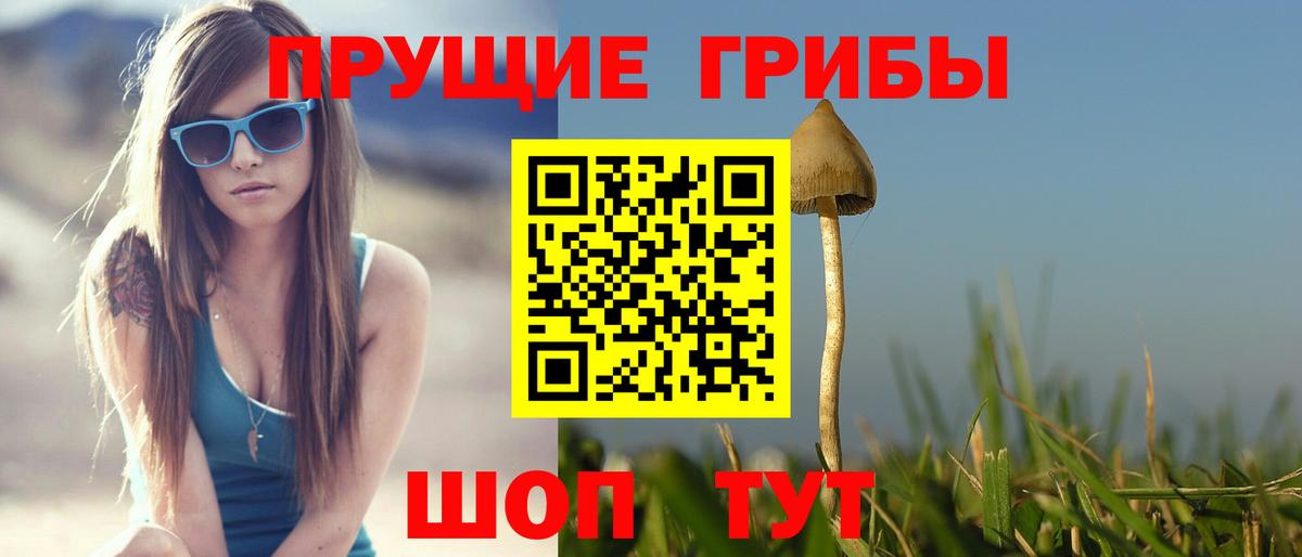 Псилоцибиновые грибы MAGIC MUSHROOMS  Вход с VPN  Орехово-Зуево 